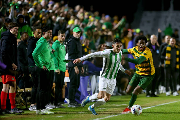 晰看到其灵 晰看到其灵