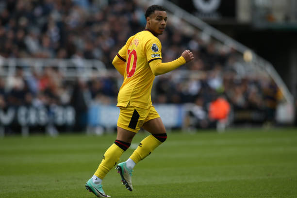 这一赛事的 这一赛事的